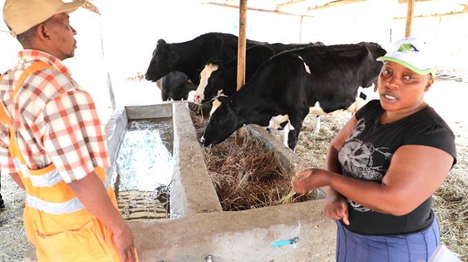 Dairy farmers venture into biogas production | The ManicaPost