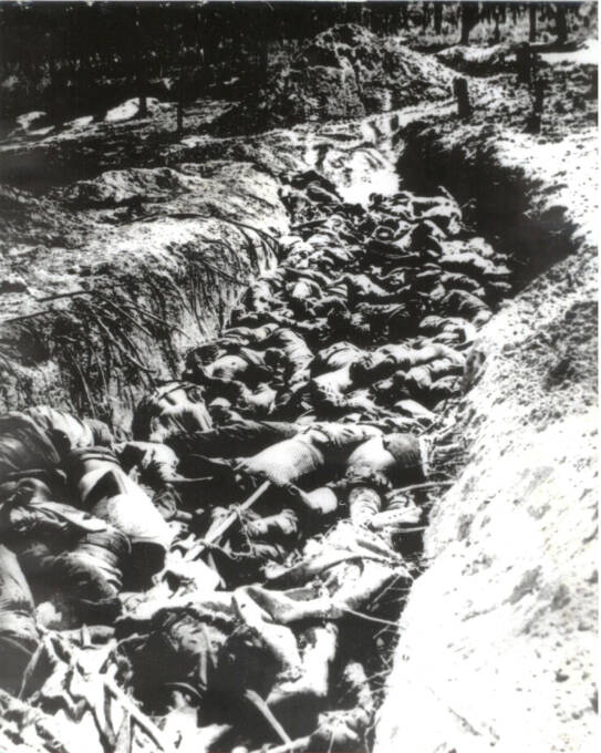  The remains of those killed at Chimoio were buried in 20 mass graves